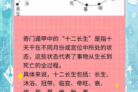 紫微斗数诸星落命宫之：长生十二神详解