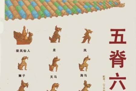 算命六兽排列详解视频