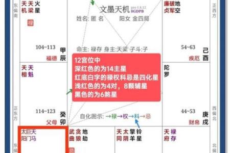 如何看自己的紫薇斗数