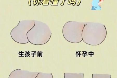 什么是八字奶
