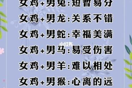 鼠狗生肖配对姻缘合适吗 鼠狗婚配的婚姻如何？