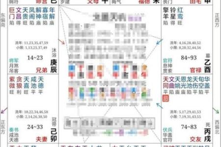 紫薇斗数干什么用的