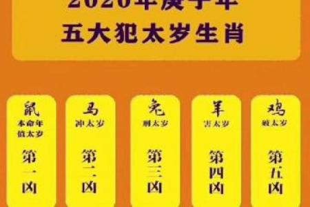 算命说会孝顺婆家是啥意思