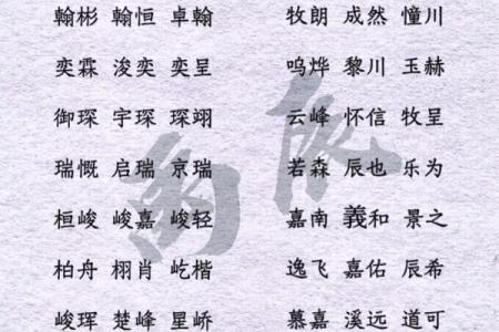 2019年4月19号卯时出生的男孩如何起名姓名