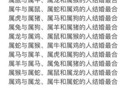 属相猪的性格特点及其与其他属相的配对