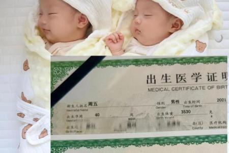 双胞胎男孩的名字和方法都有哪些-姓名学-华易网姓名
