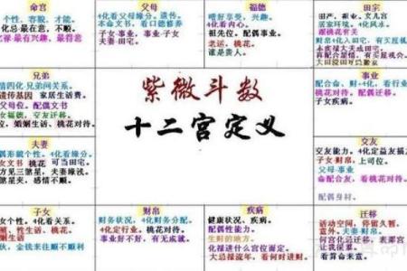 紫微斗数之定十二宫星曜落闲宫
