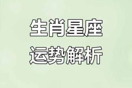 老黄历之每日宜忌十二生肖运势