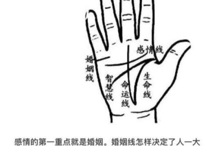 如何看手相算命看手相怎么看 如何看手相算命图片大全图解