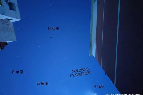 秋季星空，哪些星座最美丽？
