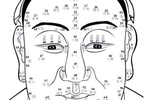 面相算命鼻子