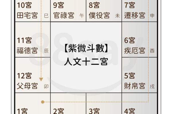 紫薇斗数怎么手动排盘
