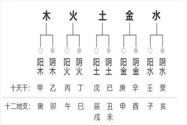 生辰八字的四柱解读