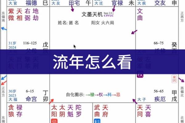 紫薇斗数流年太阳化忌