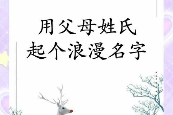 怎么样给晚上10点出生的属鼠男孩起名姓名