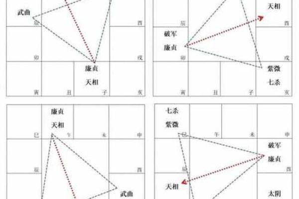 《紫微斗数》：廉贞破军在卯酉宫