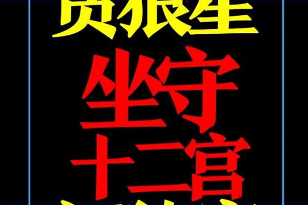 《紫微斗数》：廉贞破军在卯酉宫