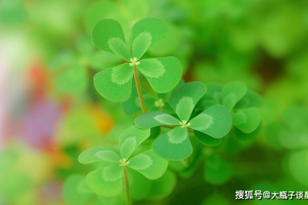 别傻了！在这个方面十二星座绝对不会让步