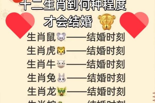 十二生肖的那些星座命运最好