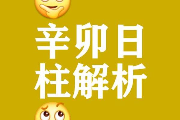 六十甲子日应事详解之庚寅日柱见到亥#生辰八字
