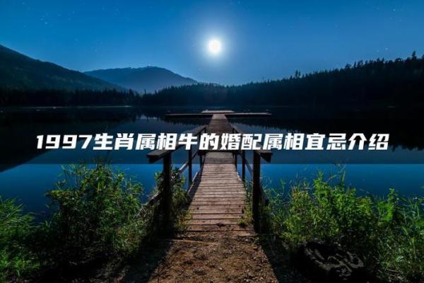 牛和牛的属相合不合 牛和牛配对可行吗