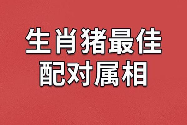 属猪的找什么属相最好 不同月份出生属猪的婚配最佳配对