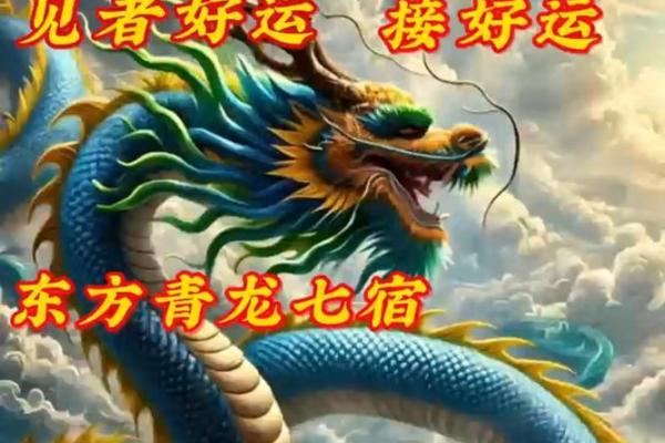 紫薇斗数青龙