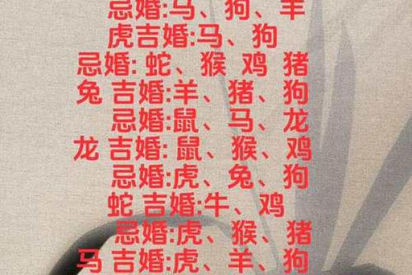 十二属相生肖配对姻缘查询