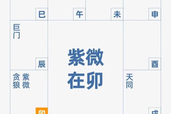 紫微斗数化杀为权，掌握命运的秘密