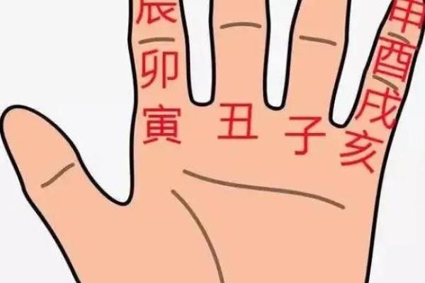 八字命理测试分析