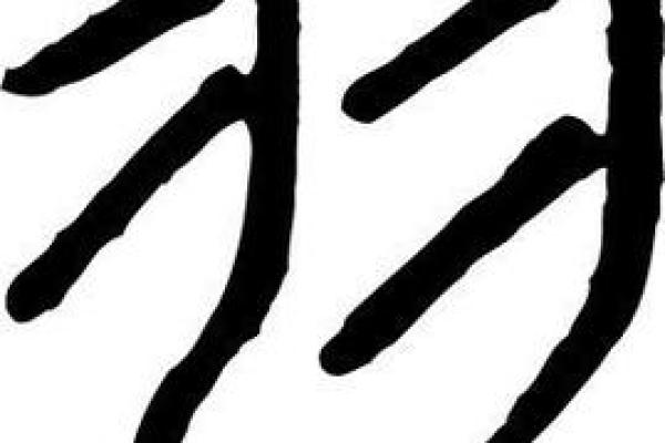 羽的八字