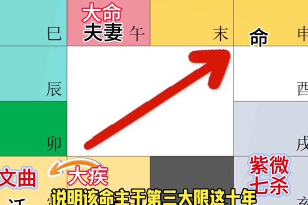 紫薇斗数盘每排文字代表什么