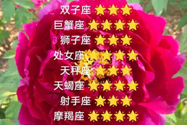 4月20号是什么星座？白羊座的人际关系和运势如何？