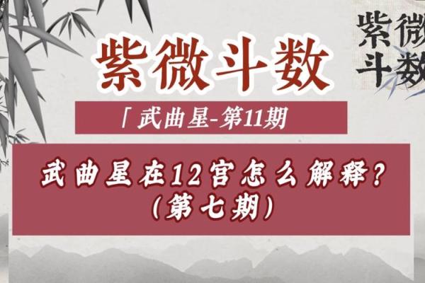 紫微斗数之兄弟宫与诸星,武曲星在兄弟宫是什么意思？
