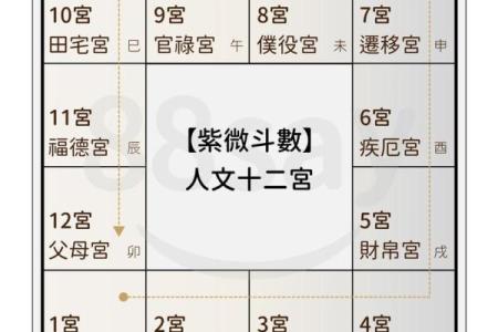 紫薇斗数怎么手动排盘