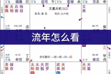紫薇斗数流年太阳化忌