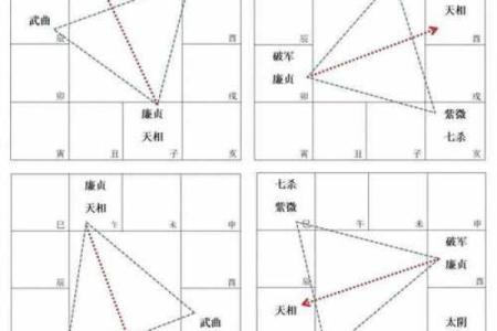 《紫微斗数》：廉贞破军在卯酉宫