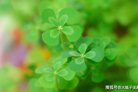 别傻了！在这个方面十二星座绝对不会让步