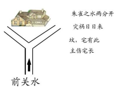 房子南有条河风水