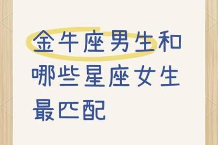 处女男和金牛女配对指数