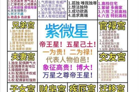 紫薇斗数运财