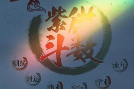 紫薇斗数之天才