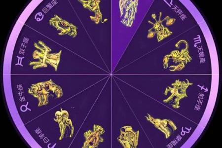 【最专业星座排行，看看哪三个星座最受欢迎】