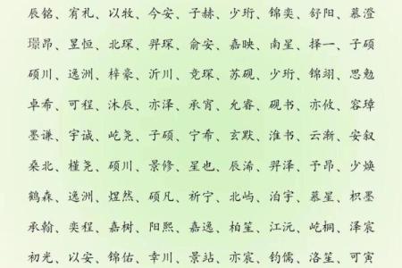 2019年6月3号寅时出生的男孩应该起什么样的名字姓名