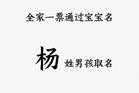 杨姓女孩名字大全-杨姓女孩起名字大全-杨姓名字大全姓名