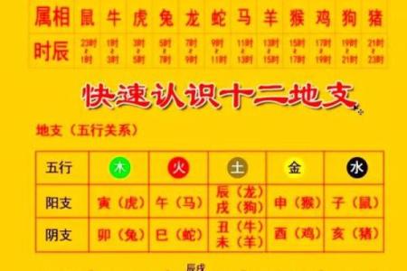 中天易学命理答疑解惑八字寿命的长短