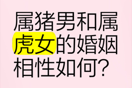 属猪的找什么属相最好 不同月份出生属猪的婚配最佳配对