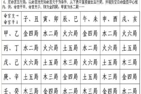紫薇斗数飞星排盘