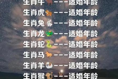 十二属相生肖配对姻缘查询