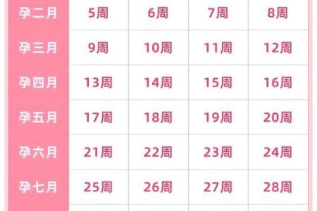 怀孕能算命吗
